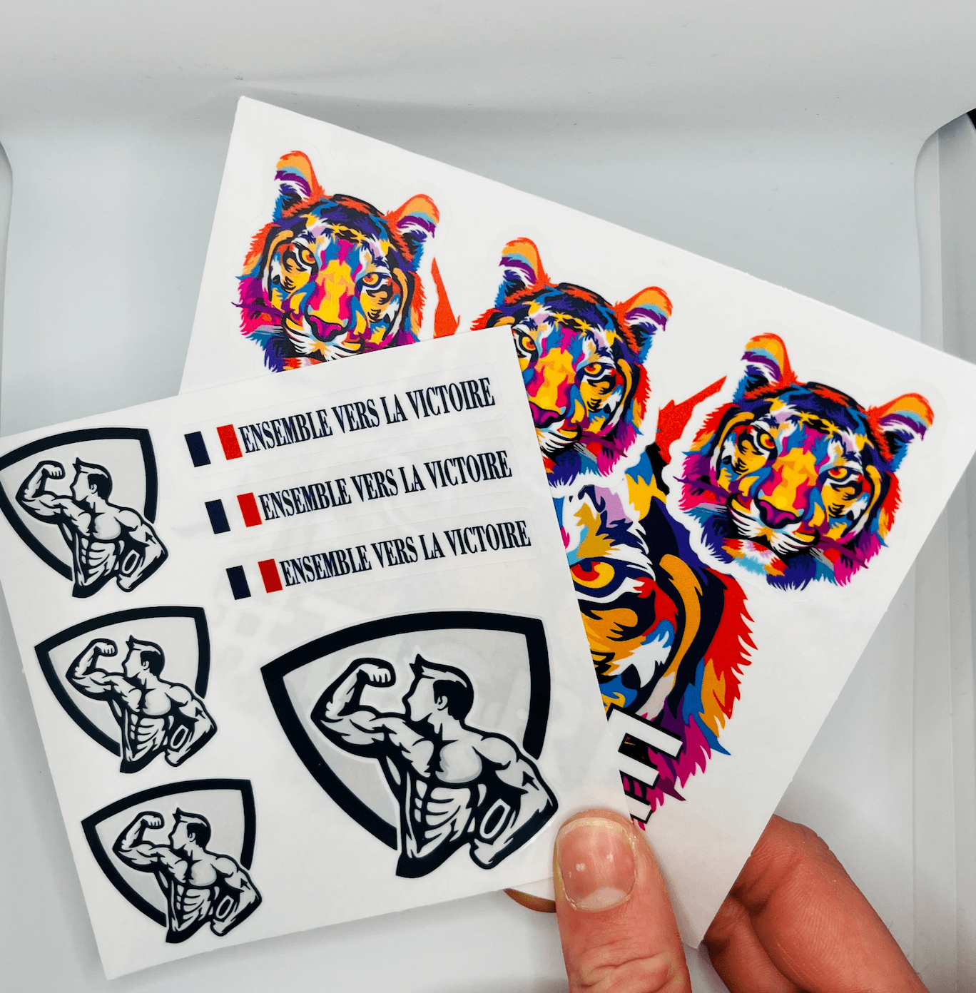 Planche de stickers transparents