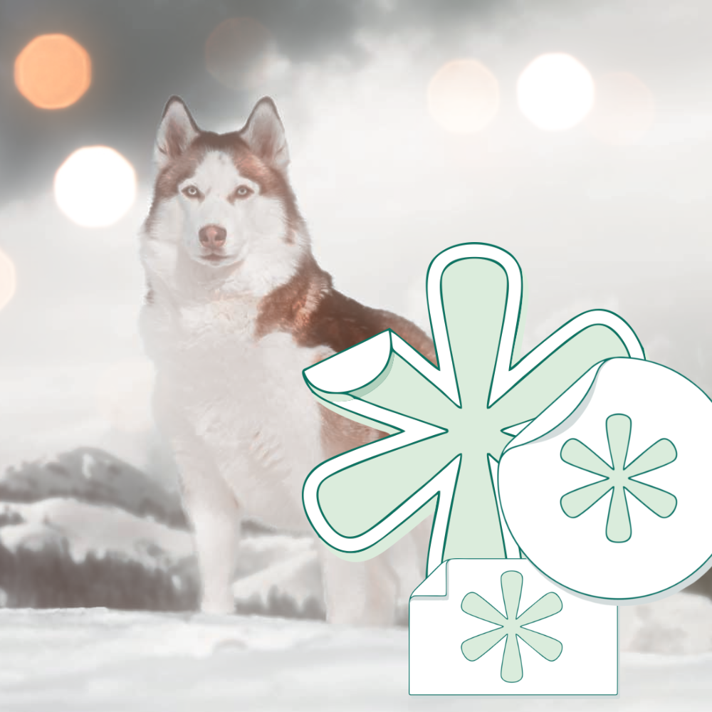 Image 1 : Sticker personnalisé de chien, en vinyle recyclable et résistant à l’eau, parfait pour l’extérieur.