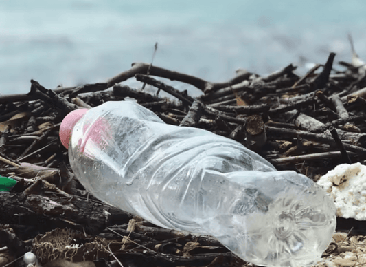 Nos Ambitions pour 2025