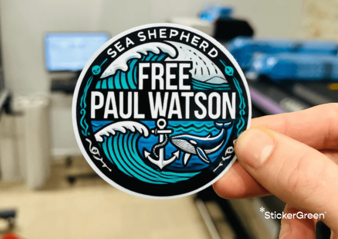 Autocollants Extérieurs Pour Voiture