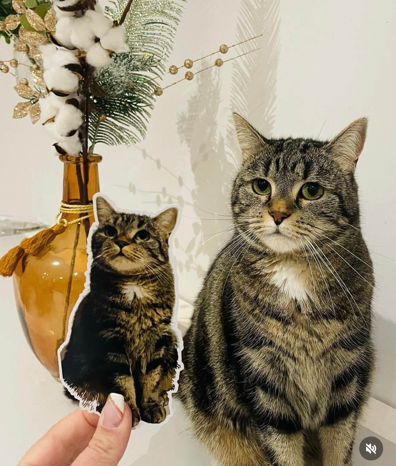 Sticker autocollant Chat personnalisé