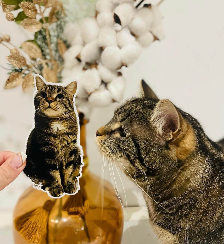 Sticker autocollant chat personnalisé