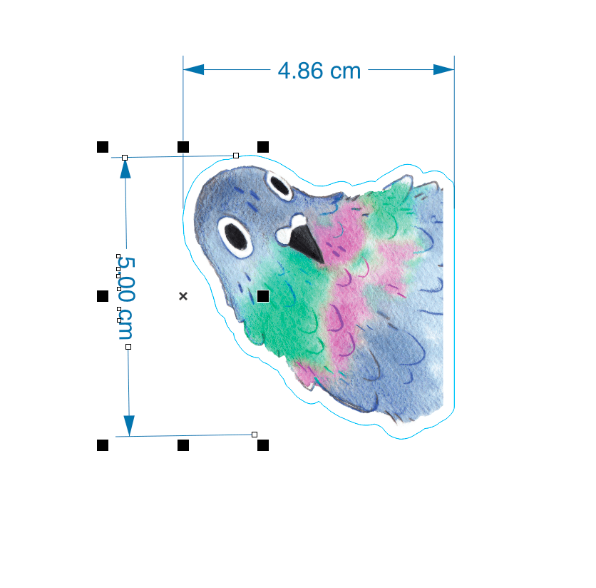Pack de 4 autocollants Pigeons | Collection Pinpon Pigeon x StickerGreen