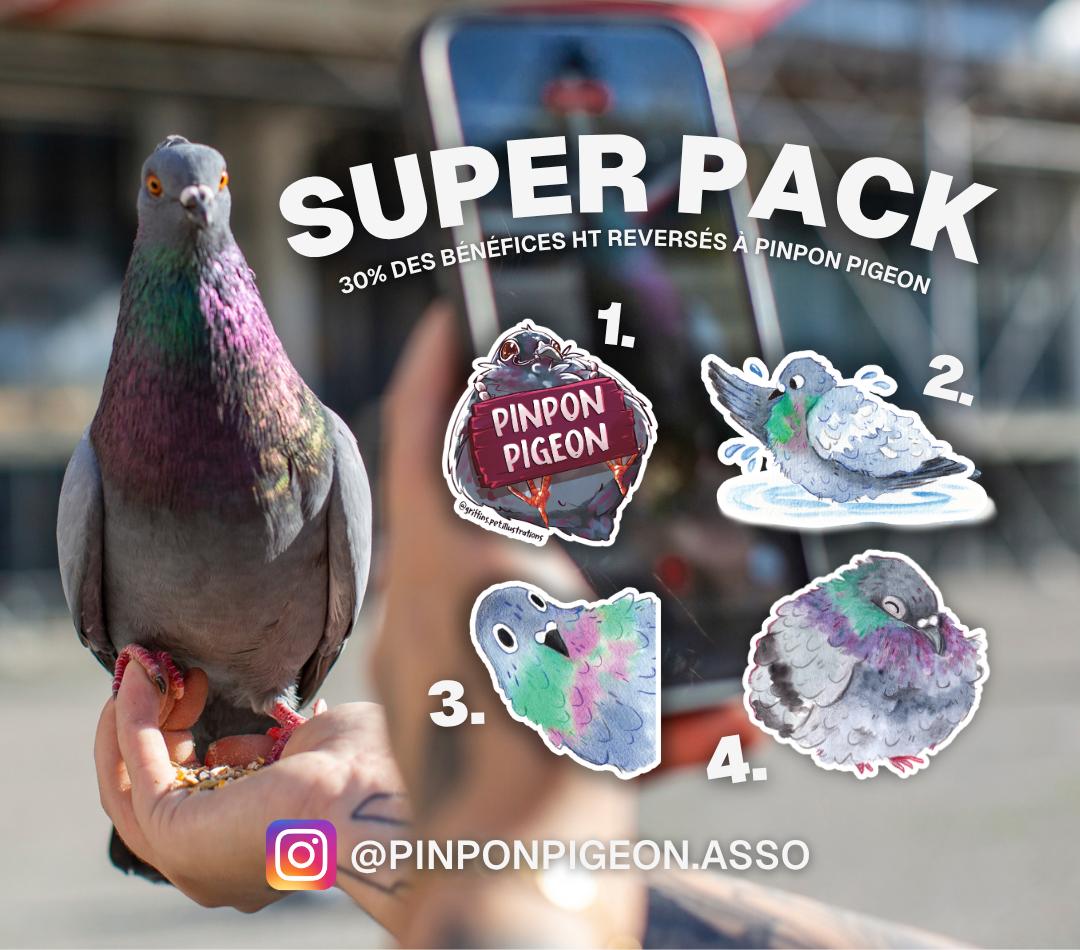Pack de 4 autocollants Pigeons | Collection Pinpon Pigeon x StickerGreen