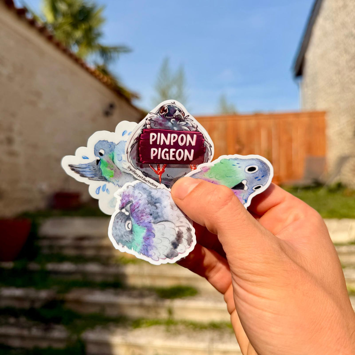 Pack de 4 autocollants Pigeons | Collection Pinpon Pigeon x StickerGreen