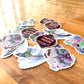 Pack de 4 autocollants Pigeons | Collection Pinpon Pigeon x StickerGreen