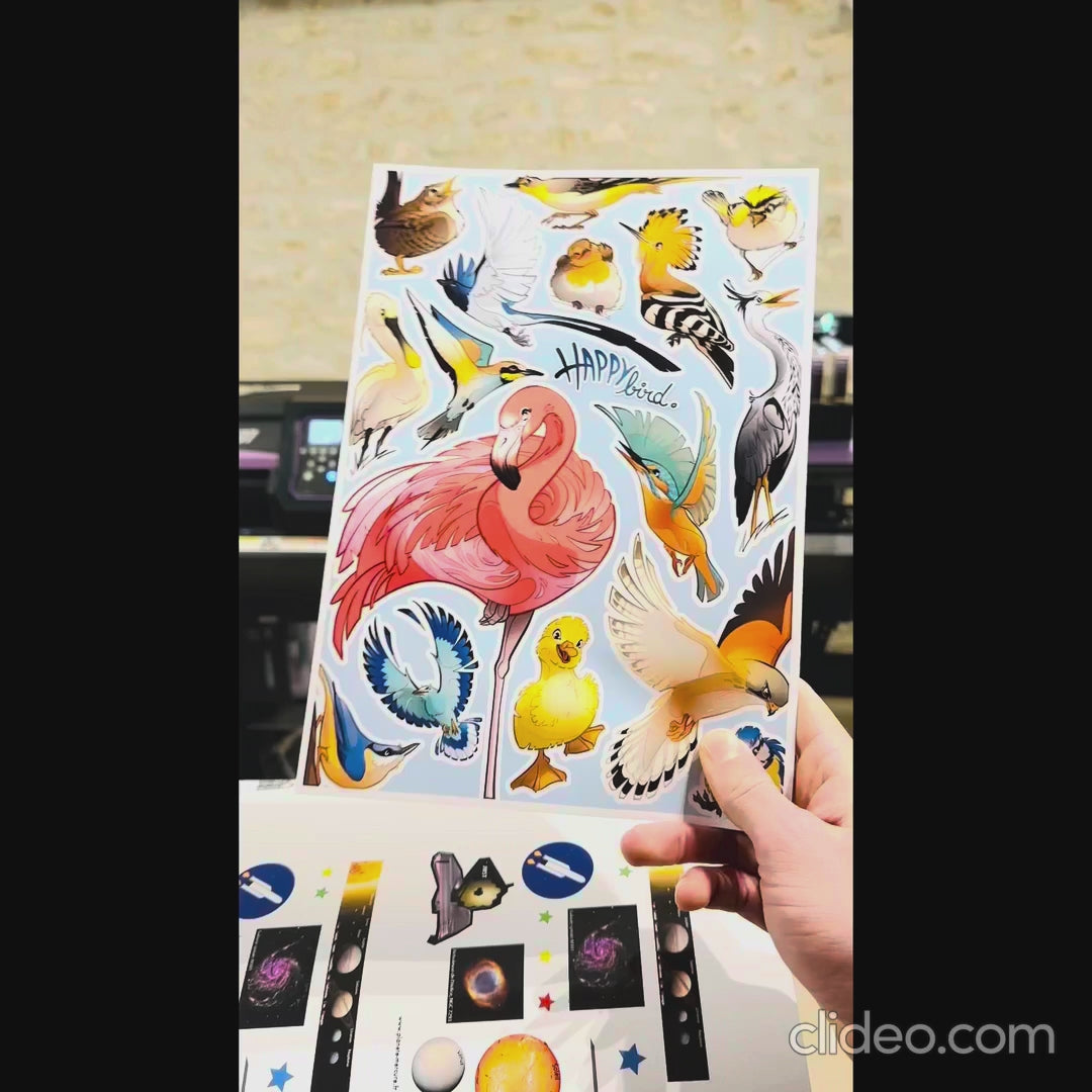 planche de stickers montrant plusieurs logos différents de oiseaux