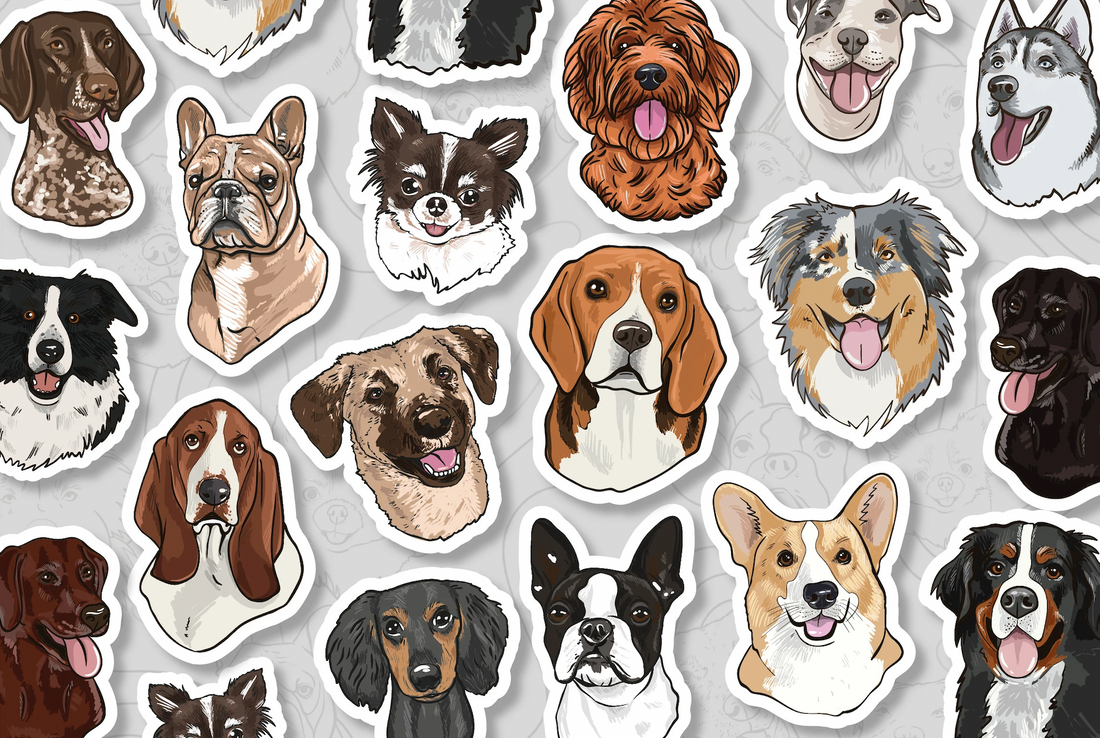 Création d'un pack de 4 stickers - StickerGreen
