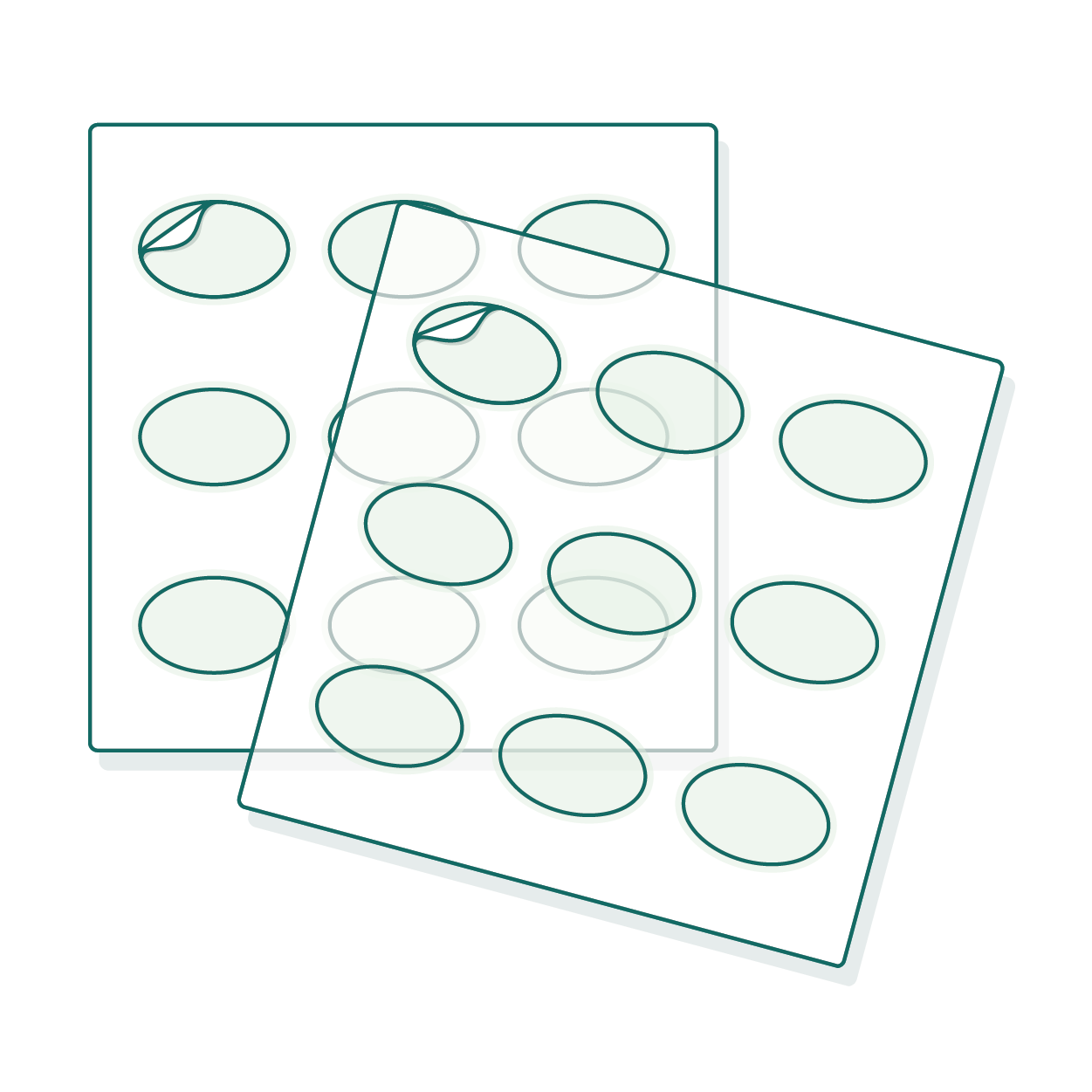 Planche d'étiquettes ovales transparentes