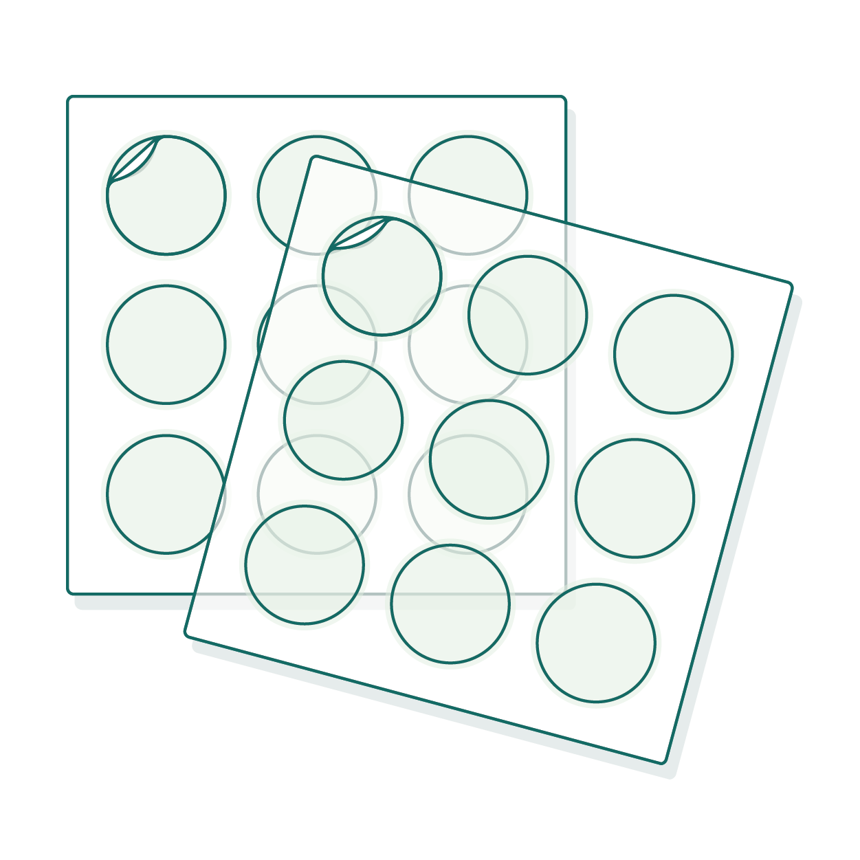 Planche d'étiquettes rondes transparentes
